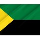 Francisco de Orellana Flag, Unique Design Print - Imagine 2