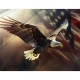 American eagle for us national loyalty day celebration Flag - Imagine 2