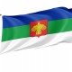 Flag of Standard of The President of The Komi Republic, Flags for Indoor & Outdoor Use - Imagine 1