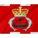 Flag of Islay Herald Extraordinary, Patriotic Flags, Unique Design Print, Flags for Indoor & Outdoor Use - Imagine 2
