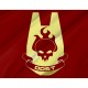 Flag of Orbital Drop Shock Troopers, Unique Design Print, Flags for Indoor & Outdoor Use - Imagine 2