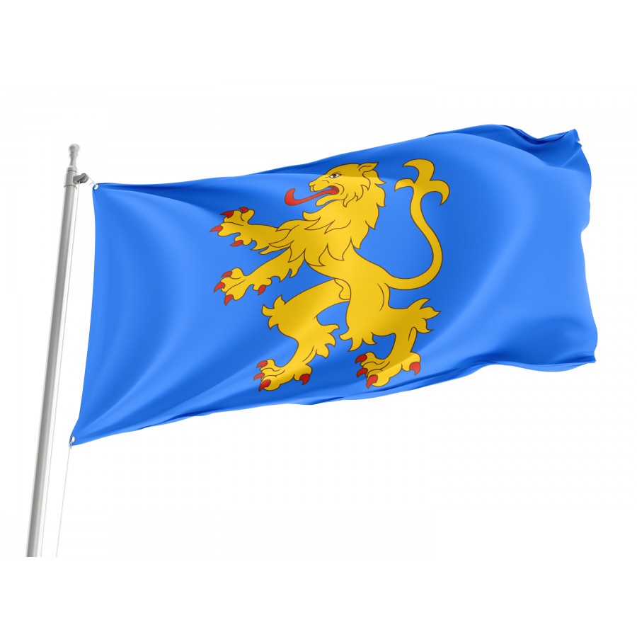 Flag of Sheldon's apartment, Patriotic Flags, Unique Design Print, Flags for Indoor & Outdoor Use