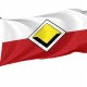 Flag of Viking House, Patriotic Flags, Unique Design Print, Flags for Indoor & Outdoor Use - Imagine 1