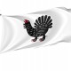 Central Finland Region Flag for Indoor & Outdoor Use - Imagine 1