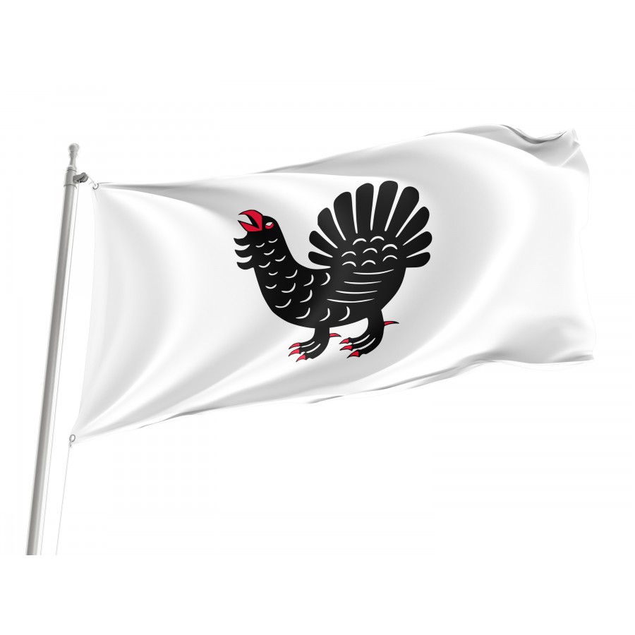 Flag of Central Finland Region, Patriotic Flags, Unique Design Print, Flags for Indoor & Outdoor Use