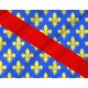 Allier Flag for Indoor & Outdoor Use - Imagine 2