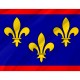 Flag of Anjou, Patriotic Flags, Unique Design Print, Flags for Indoor & Outdoor Use - Imagine 2