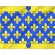 Flag of Ardèche, Patriotic Flags, Unique Design Print, Flags for Indoor & Outdoor Use - Imagine 2