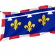 Centre Val De Loire Flag for Indoor & Outdoor Use - Imagine 1