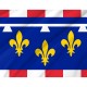 Centre Val De Loire Flag for Indoor & Outdoor Use - Imagine 2