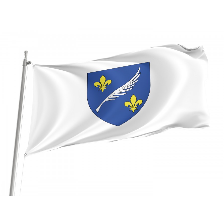 Flag Of Commune Of Cannes, Patriotic Flags, Unique Design Print, Flags For Indoor & Outdoor Use - High Quality France for Indoor and Outdoor Use
