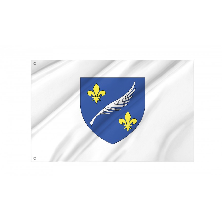 Flag Of Commune Of Cannes, Patriotic Flags, Unique Design Print, Flags For Indoor & Outdoor Use - High Quality France for Indoor and Outdoor Use