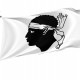 Flag of Corsica, Patriotic Flags, Unique Design Print, Flags for Indoor & Outdoor Use - Imagine 1