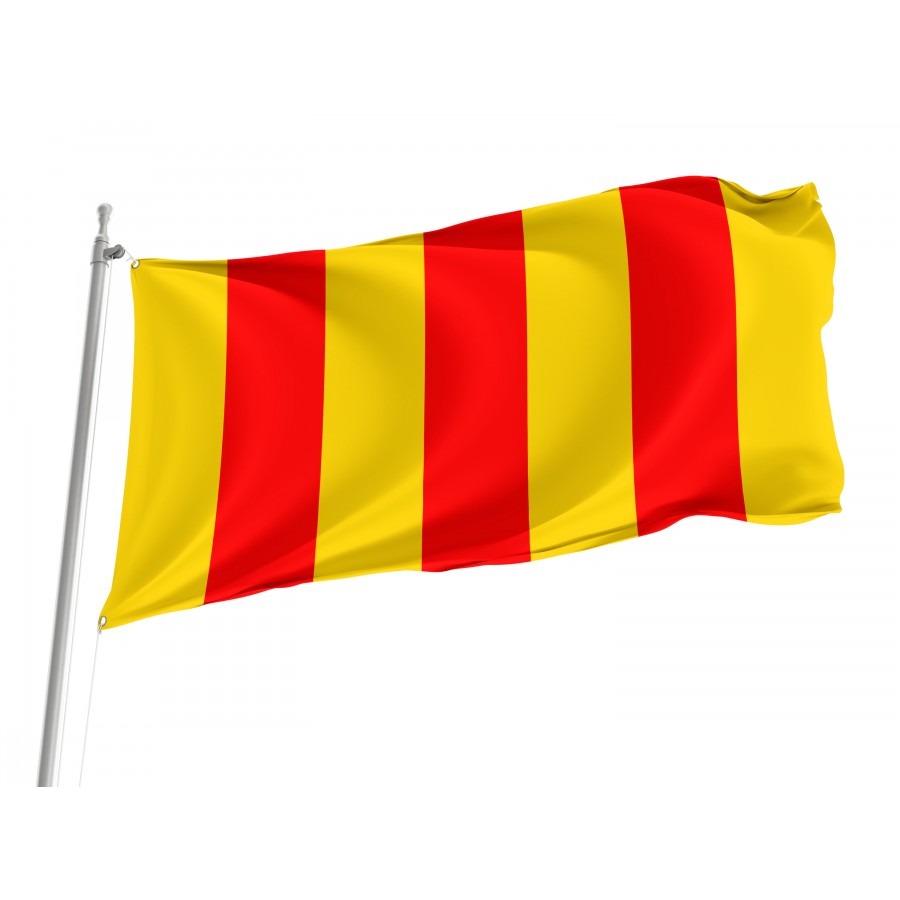 Flag Of County Of Foix In France, Patriotic Flags, Unique Design Print, Flags For Indoor & Outdoor Use - High Quality France for Indoor and Outdoor Use