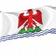 County of Nice Flag for Indoor & Outdoor Use - Imagine 1