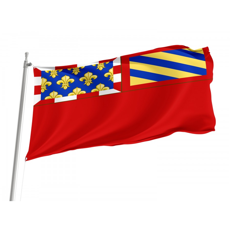 Flag Of Dijon, Patriotic Flags, Unique Design Print, Flags For Indoor & Outdoor Use - High Quality France for Indoor and Outdoor Use
