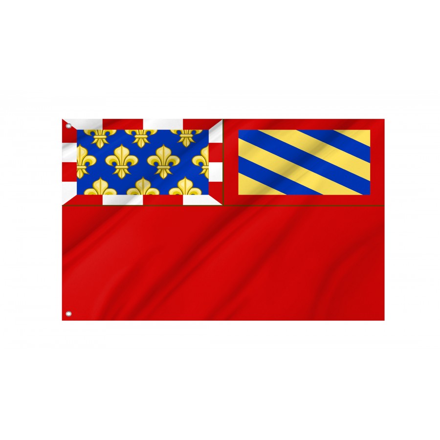 Flag Of Dijon, Patriotic Flags, Unique Design Print, Flags For Indoor & Outdoor Use - High Quality France for Indoor and Outdoor Use