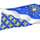 Flag of Essonne, Patriotic Flags, Unique Design Print, Flags for Indoor & Outdoor Use - Imagine 1