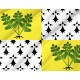 Flag of Fougères, Patriotic Flags, Unique Design Print, Flags for Indoor & Outdoor Use - Imagine 2