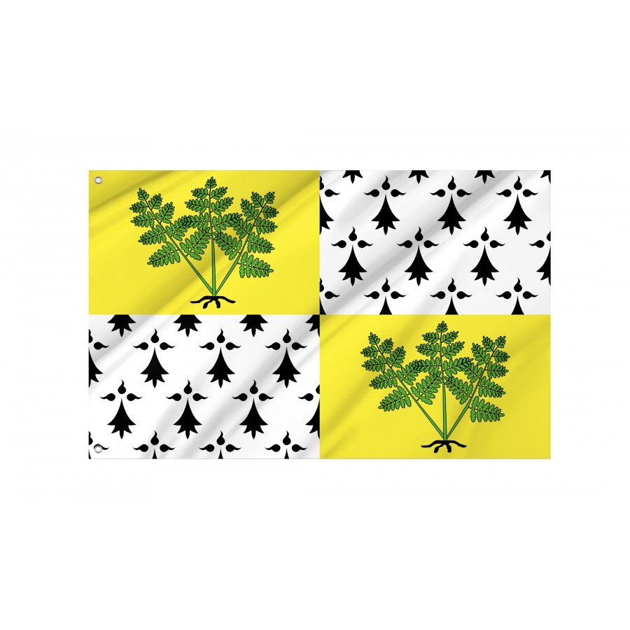 Flag Of Fougères, Patriotic Flags, Unique Design Print, Flags For Indoor & Outdoor Use - High Quality France for Indoor and Outdoor Use