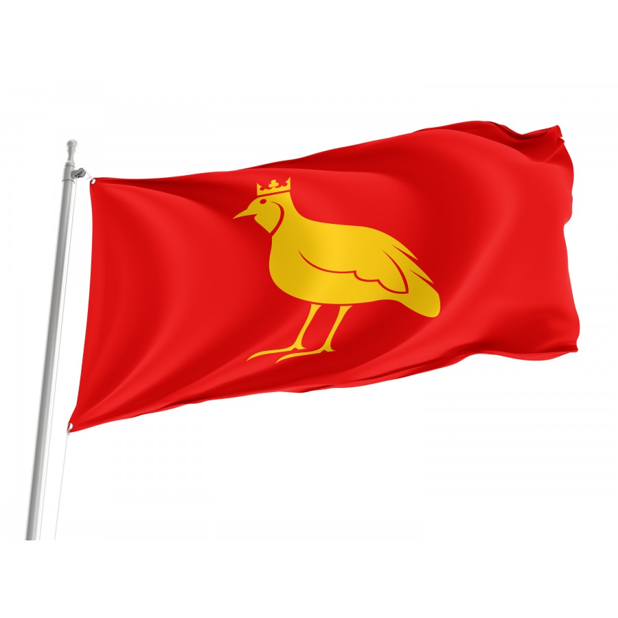Flag Of French Province Of Aunis, Patriotic Flags, Unique Design Print, Flags For Indoor & Outdoor Use - High Quality France for Indoor and Outdoor Use