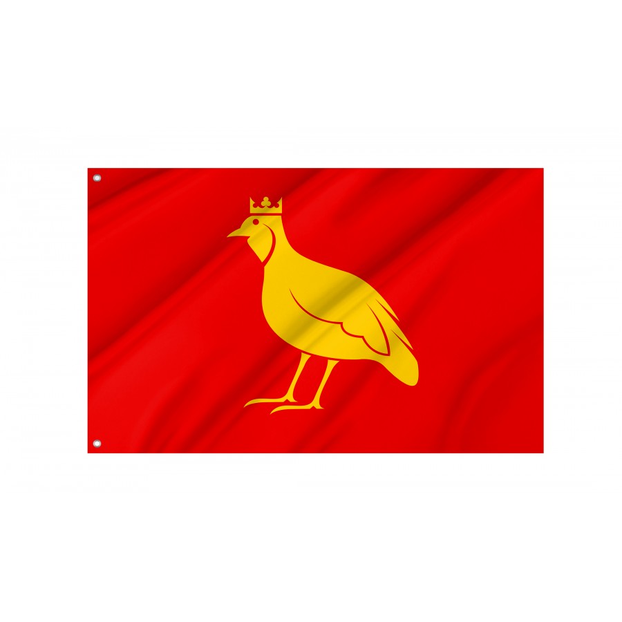 Flag Of French Province Of Aunis, Patriotic Flags, Unique Design Print, Flags For Indoor & Outdoor Use - High Quality France for Indoor and Outdoor Use