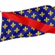 Flag of French Province of Bourbonnais, Patriotic Flags, Unique Design Print, Flags for Indoor & Outdoor Use - Imagine 1