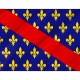 Flag of French Province of Bourbonnais, Patriotic Flags, Unique Design Print, Flags for Indoor & Outdoor Use - Imagine 2
