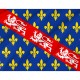 Flag of French province of Marche, Patriotic Flags, Unique Design Print, Flags for Indoor & Outdoor Use - Imagine 2