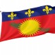 Flag of Guadeloupe Local Variant, Patriotic Flags, Unique Design Print, Flags for Indoor & Outdoor Use - Imagine 1
