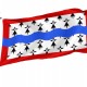 Haute Vienne Flag for Indoor & Outdoor Use - Imagine 1