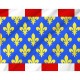 Indre et Loire Flag for Indoor & Outdoor Use - Imagine 2