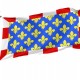 Indre et Loire Flag for Indoor & Outdoor Use - Imagine 1