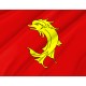Flag of Loire, Patriotic Flags, Unique Design Print, Flags for Indoor & Outdoor Use - Imagine 2