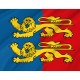 Flag of Manche, Patriotic Flags, Unique Design Print, Flags for Indoor & Outdoor Use - Imagine 2