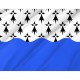 Flag of Morbihan, Patriotic Flags, Unique Design Print, Flags for Indoor & Outdoor Use - Imagine 2