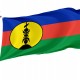 Flag of New Caledonia, Patriotic Flags, Unique Design Print, Flags for Indoor & Outdoor Use - Imagine 1