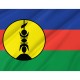 Flag of New Caledonia, Patriotic Flags, Unique Design Print, Flags for Indoor & Outdoor Use - Imagine 2