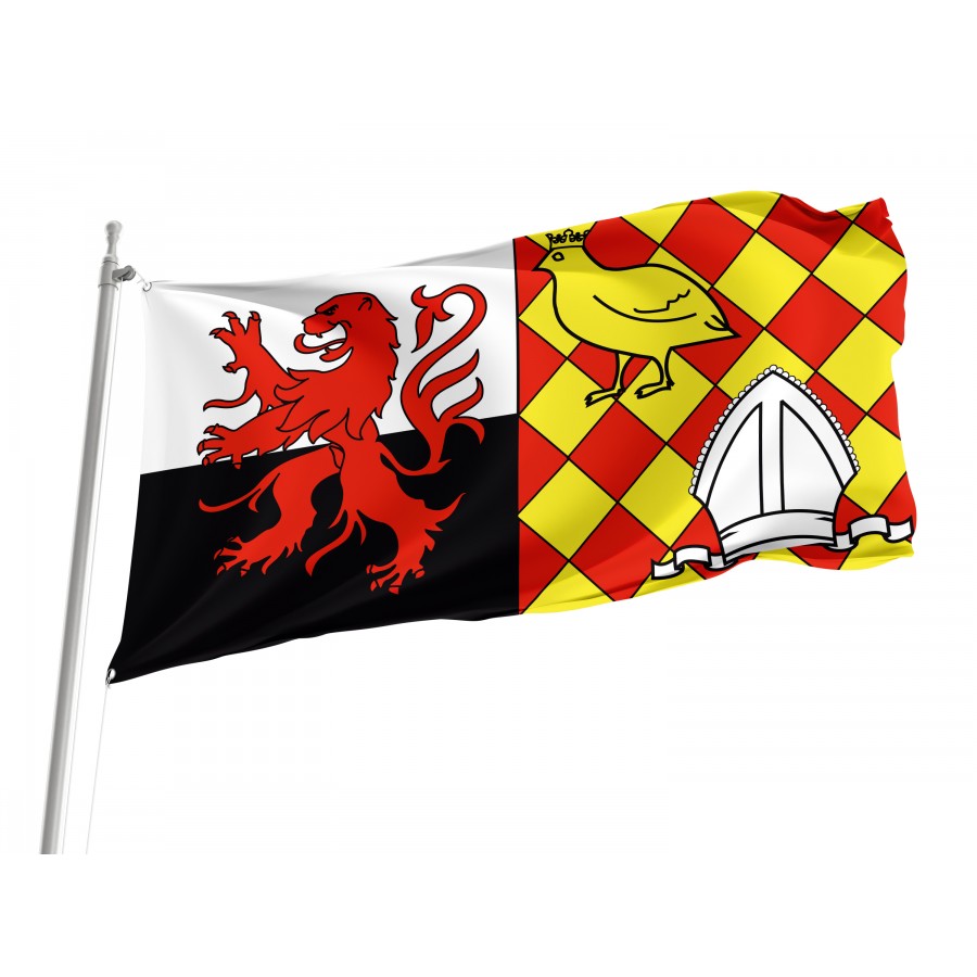 Flag Of Poitou-Charente, Patriotic Flags, Unique Design Print, Flags For Indoor & Outdoor Use - High Quality France for Indoor and Outdoor Use