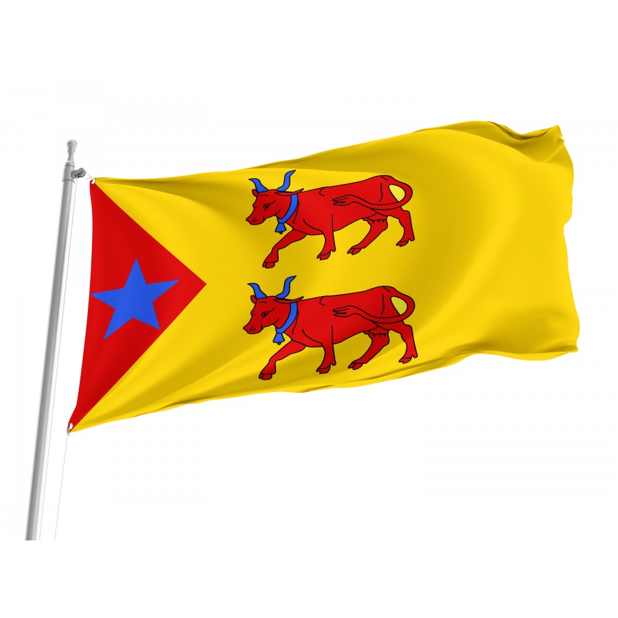 Flag Of Principality Of Laàs, Patriotic Flags, Unique Design Print, Flags For Indoor & Outdoor Use - High Quality France for Indoor and Outdoor Use