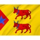 Flag of Principality of Laàs, Patriotic Flags, Unique Design Print, Flags for Indoor & Outdoor Use - Imagine 2