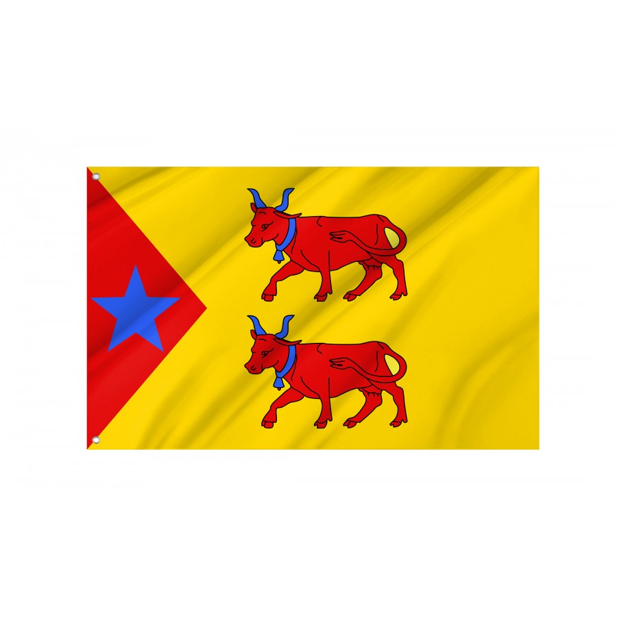 Flag Of Principality Of Laàs, Patriotic Flags, Unique Design Print, Flags For Indoor & Outdoor Use - High Quality France for Indoor and Outdoor Use