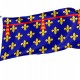 Flag of Region Artois in France, Patriotic Flags, Unique Design Print, Flags for Indoor & Outdoor Use - Imagine 1