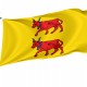 Flag of Region Béarn in France, Patriotic Flags, Unique Design Print, Flags for Indoor & Outdoor Use - Imagine 1