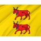 Flag of Region Béarn in France, Patriotic Flags, Unique Design Print, Flags for Indoor & Outdoor Use - Imagine 2