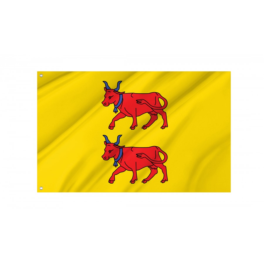 Flag Of Region Béarn In France, Patriotic Flags, Unique Design Print, Flags For Indoor & Outdoor Use - High Quality France for Indoor and Outdoor Use