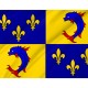 Flag of Region Daupiné in France, Patriotic Flags, Unique Design Print, Flags for Indoor & Outdoor Use - Imagine 2