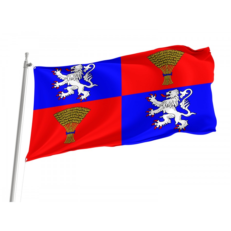 Flag Of Region Gascogne In France, Patriotic Flags, Unique Design Print, Flags For Indoor & Outdoor Use - High Quality France for Indoor and Outdoor Use