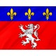 Flag of Region Lyonnais, Patriotic Flags, Unique Design Print, Flags for Indoor & Outdoor Use - Imagine 2
