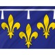 Flag of Region Orléanais in France, Patriotic Flags, Unique Design Print, Flags for Indoor & Outdoor Use - Imagine 2